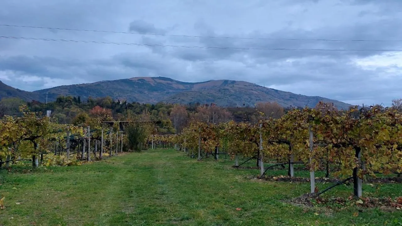 La Caneveta Al Piave Valdobbiadene 0*,  Italien