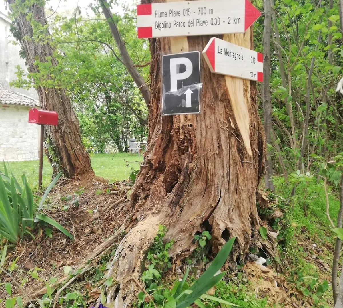 La Caneveta Al Piave Valdobbiadene